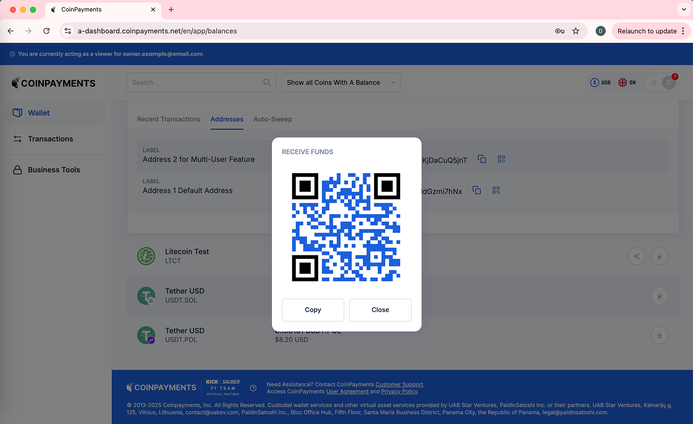 View Wallet Addresses Per Currency and Scan